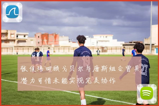 张佳玮回顾戈贝尔与唐斯组合曾具潜力可惜未能实现完美协作